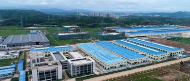 簽約28個(gè)項(xiàng)目引資381億，肇慶綠色農(nóng)副產(chǎn)品集散基地強(qiáng)勢崛起，賦能國內(nèi)旅游服務(wù)升級